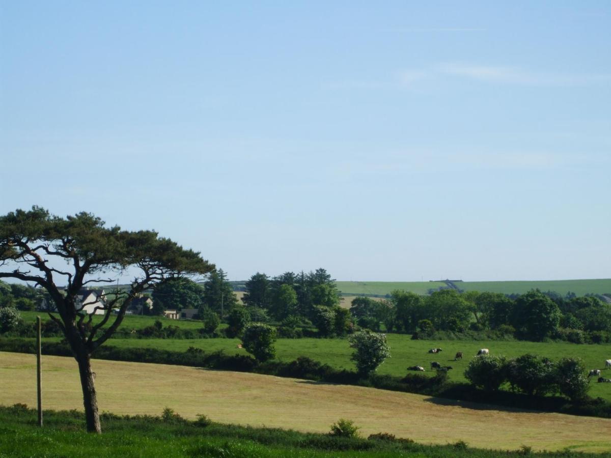 The Brown Hen Guest Accommodation Bandon Extérieur photo